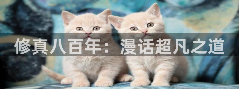 禁漫天堂的漫画